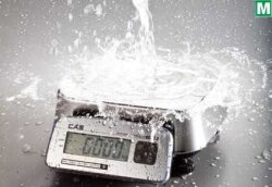 Cas Paslanmaz Tartım Terazisi Fw-500C Serisi - 2