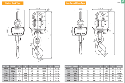 Cas Vinç Tartım Baskülü Caston II Plus Serisi - 2