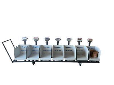 Tem Hisse Pay Baskülü Eko Serisi - 1