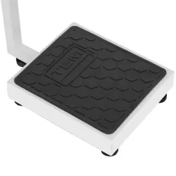 Tem Kilo Ölçer Baskül Eko 35x40 Cm 300 Kg 100 Gr - 2