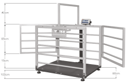 Tem Küçükbaş Hayvan Baskülü Eko 70x100 Cm 600 Kg 200 Gr - 2