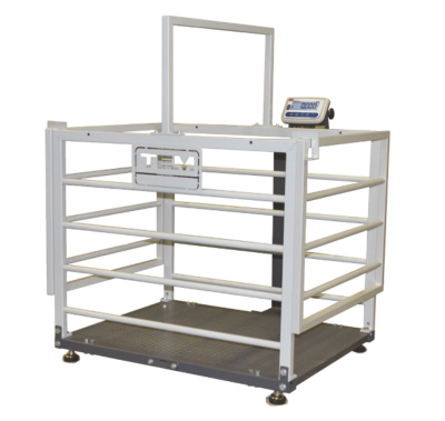 Tem Küçükbaş Hayvan Baskülü Eko 70x100 Cm 600 Kg 200 Gr - 1