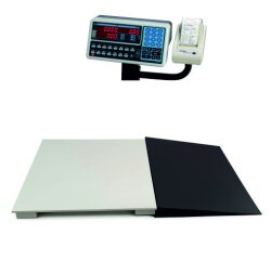 Tem Tıbbı Atık Tartım Baskülü 100x150 Cm Rampalı 1 Ton - Tem