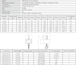 Tem Vinç Baskülü M Serisi - 2