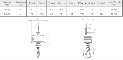 Tem Vinç Baskülü Mn Serisi - 2