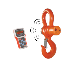 Tem Vinç Baskülü Wd Serisi - Tem