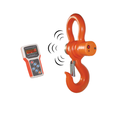 Tem Vinç Baskülü Wd Serisi - 1