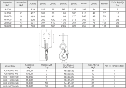 Tem Vinç Baskülü Wd Serisi - 2