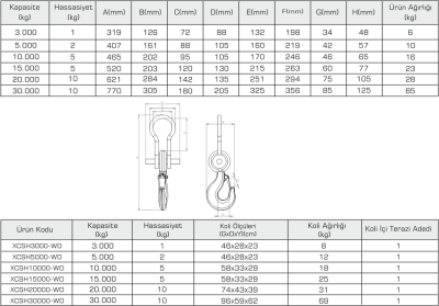 Tem Vinç Baskülü Wd Serisi - 2