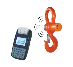 Tem Vinç Baskülü Wp Serisi - Tem