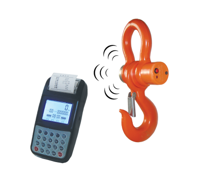 Tem Vinç Baskülü Wp Serisi - 1