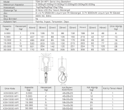 Tem Vinç Baskülü Wp Serisi - 2